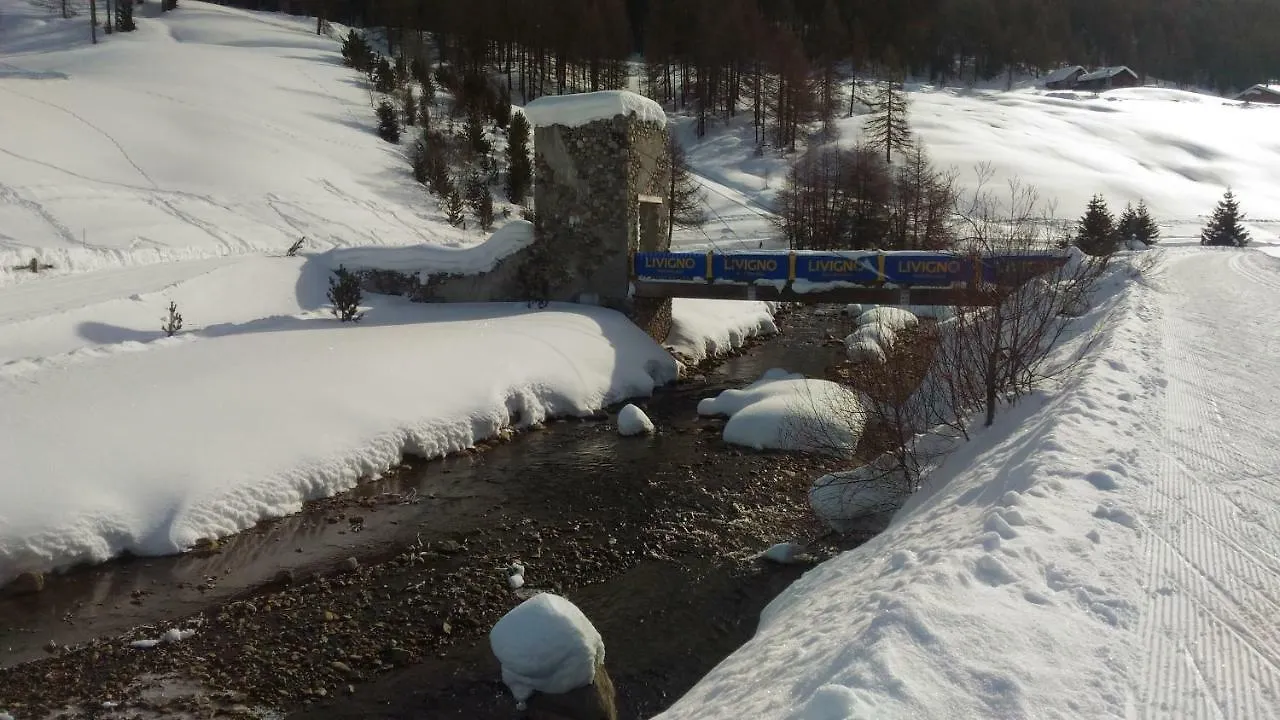 Apartment Appartamenti Rin Gemel Livigno
